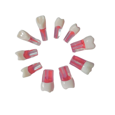 1X10 DIENTE P/ENDODONCIA KINGDEN C/RAIZ JGO