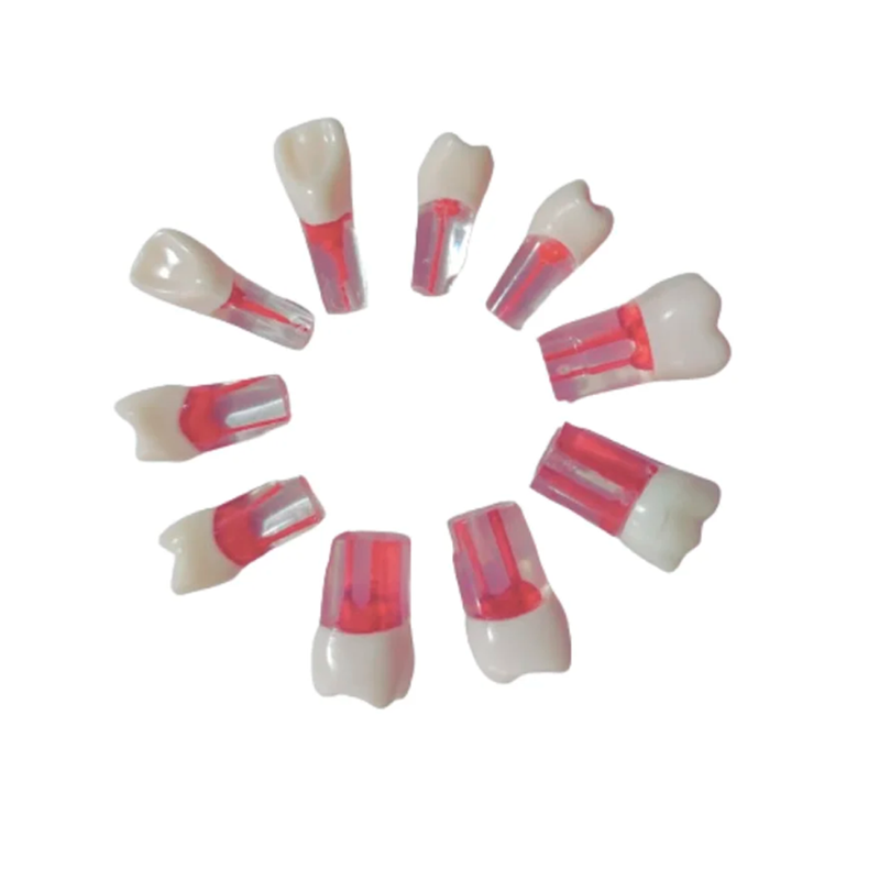 1X10 DIENTE P/ENDODONCIA KINGDEN C/RAIZ JGO