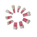 1X10 DIENTE P/ENDODONCIA KINGDEN C/RAIZ JGO