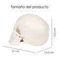 CRANEO KINGDEN BLANCO DESARMABLE