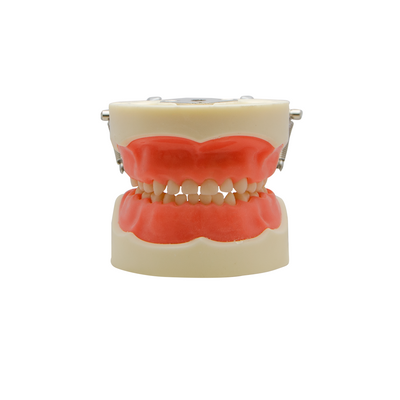 TIPODONTO KINGDEN TIPO COLUMBIA 24 ENCIA BLANDA INFANTIL