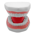 TIPODONTO KINGDEN DIDACTICO C/LENGUA GIGANTE