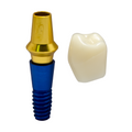 MODELO DIDACTICO KINGDEN IMPLANTOLOGIA Y PROTESIS