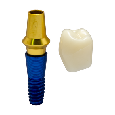 MODELO DIDACTICO KINGDEN IMPLANTOLOGIA Y PROTESIS