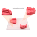 PIEL SINTETICA KINGDEN P/SUTURA DENTAL C/BASE REMOVIBLE 5001