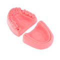 PIEL SINTETICA KINGDEN P/SUTURA DENTAL C/BASE REMOVIBLE 5001