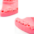PIEL SINTETICA KINGDEN P/SUTURA DENTAL C/BASE REMOVIBLE 5001