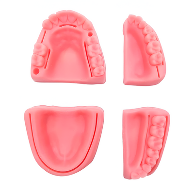 PIEL SINTETICA KINGDEN P/SUTURA DENTAL C/BASE REMOVIBLE 5001