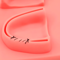 PIEL SINTETICA KINGDEN P/SUTURA DENTAL C/BASE FIJA 5002